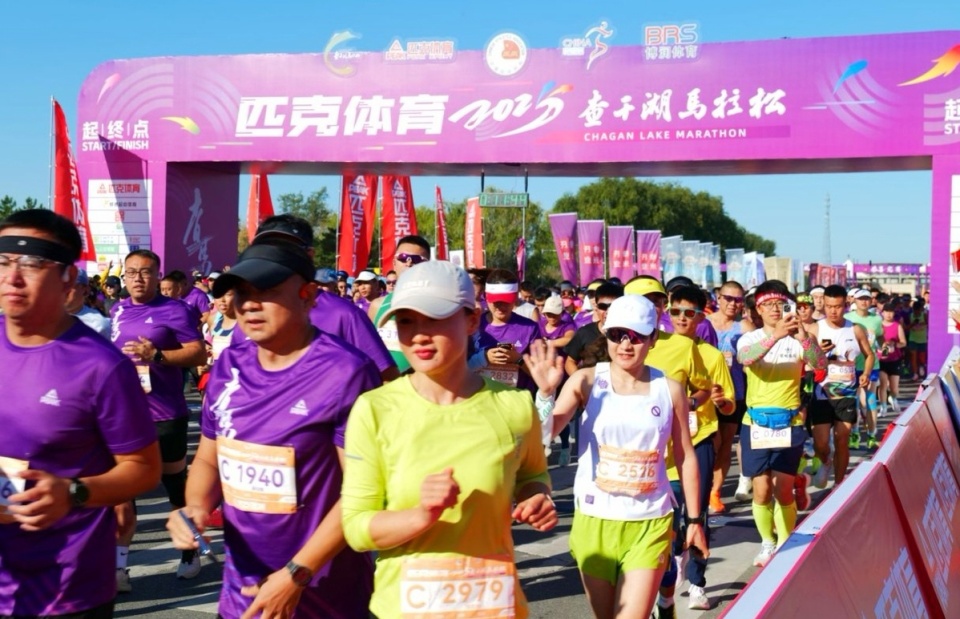 同时品尝到, 鸬鹚与白鹤 同时品尝到, 鸬鹚与白鹤